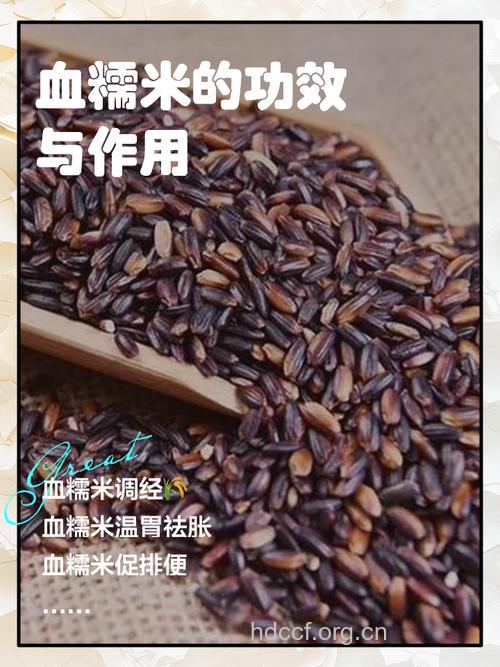 乙肝携带者能吃糯米吗