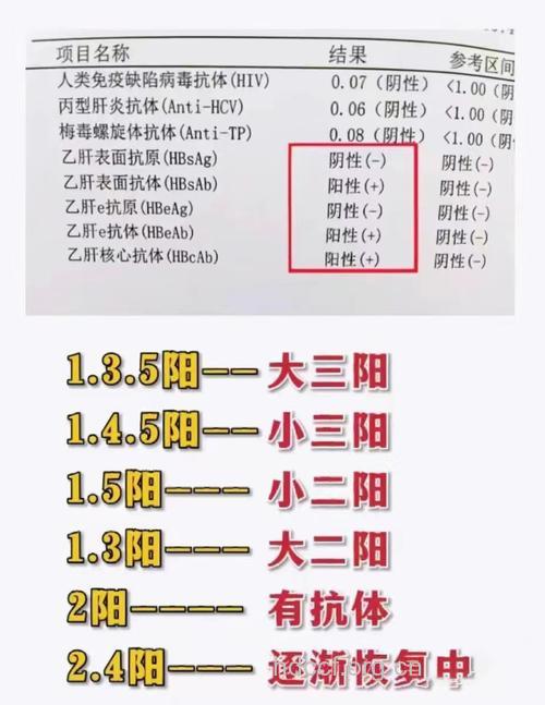 乙肝携带者和乙肝患者有什么区别