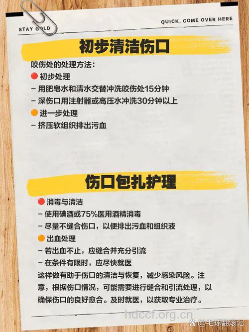 咬合创伤有哪些防治措施