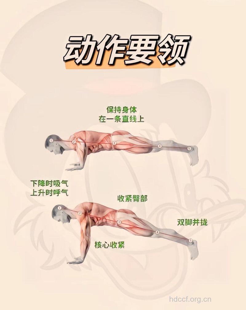 女人常做俯卧撑可以远离衰老