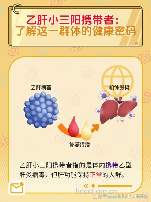 你了解乙肝病毒携带者吗