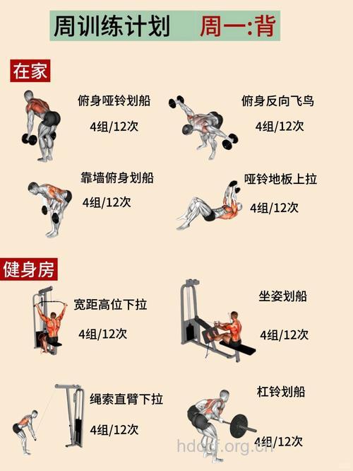最适合室内健身的项目推荐