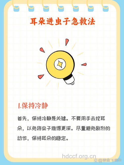 虫子进入耳朵有哪些处理方法