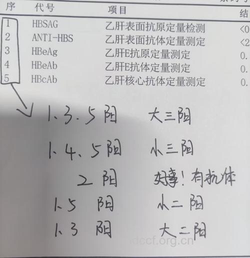 什么是乙肝大三阳