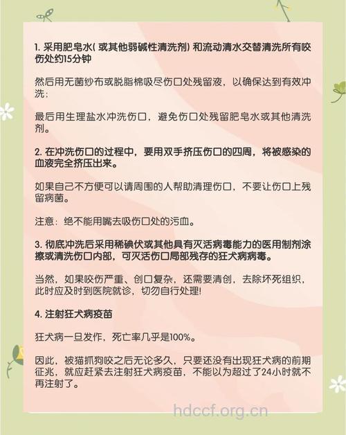 宠物咬伤有哪些处理方法