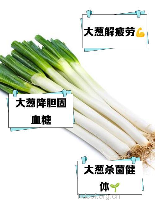 防癌壮阳冬天多吃大葱