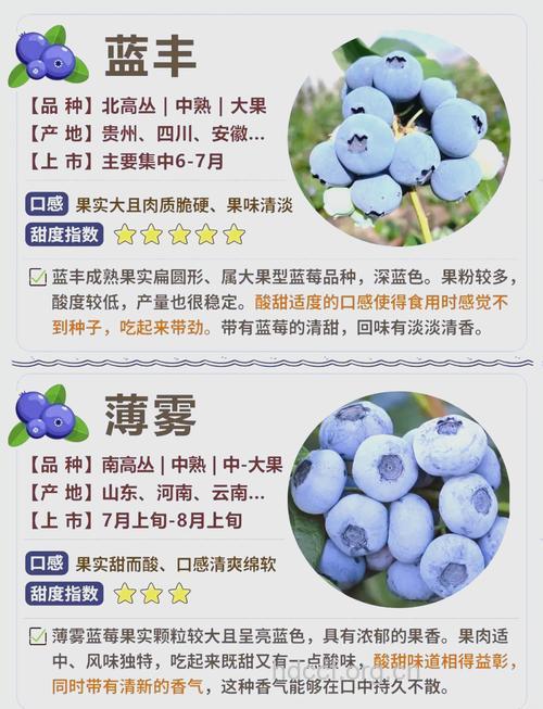 蓝莓等4大莓类有助防癌