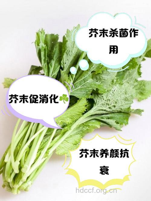 芥末有抑制癌细胞的功效
