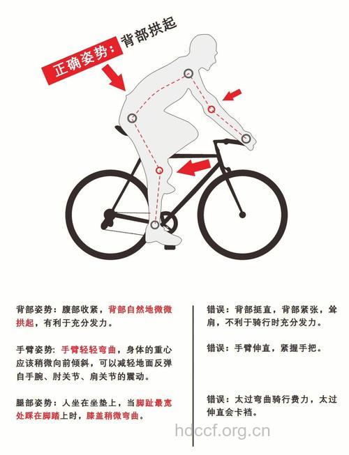 秋季骑自行车注意事项，护膝很重要