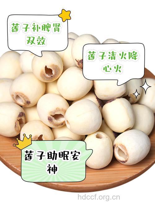 防癌抗癌食物——莲子