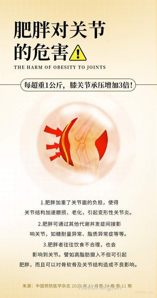 肥胖女性不可忽视的关节炎