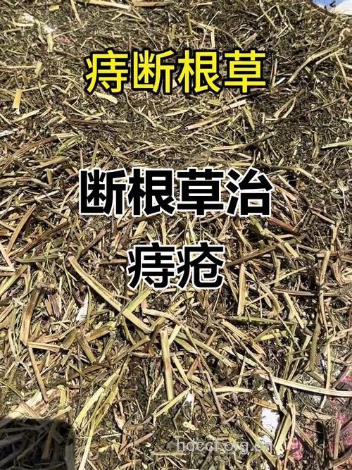 治痔非得“斩草除根”