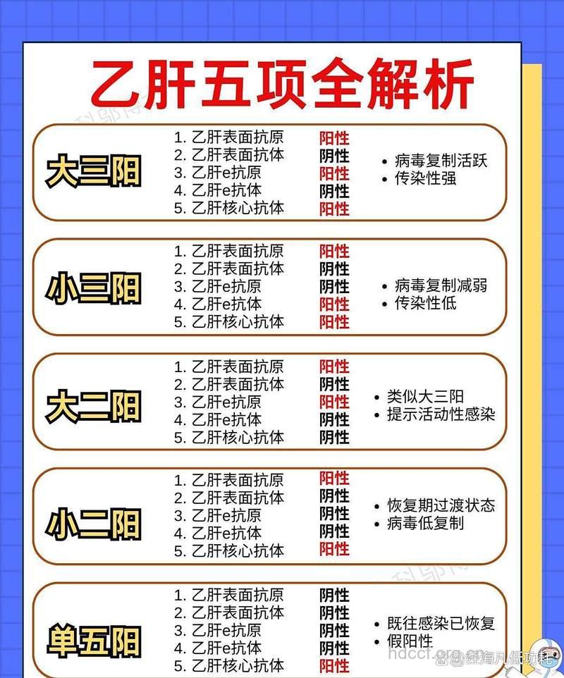 乙肝大三阳基本常识