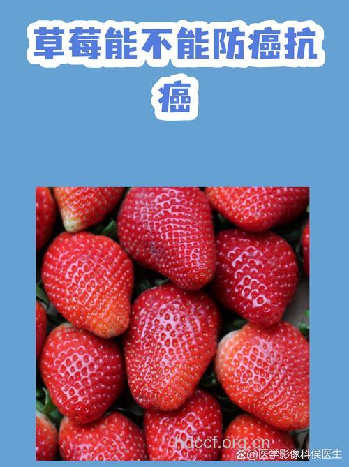 防癌抗癌水果——草莓