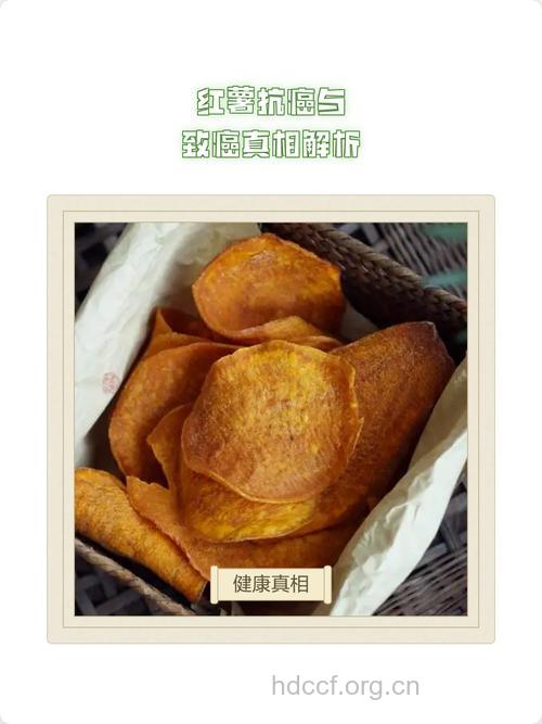 抗癌最佳食物——地瓜