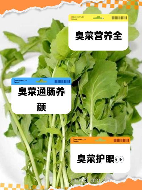 这几种臭味菜能有效抗癌