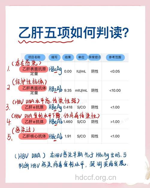 乙肝大三阳的必读原则
