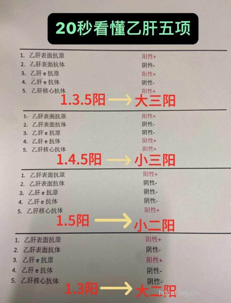 简述大三阳的传染性
