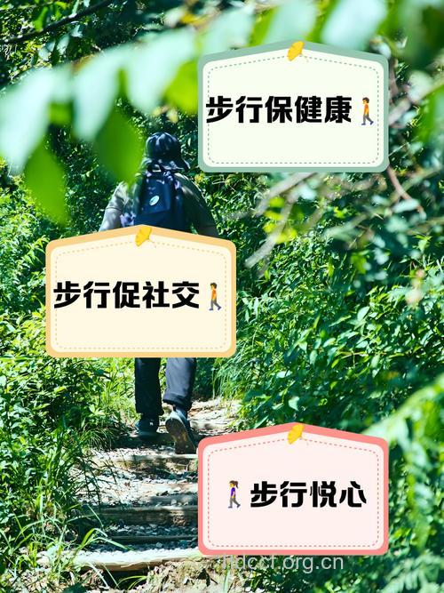 上班一族选择步行更健康