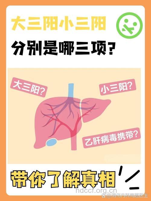 以辩证来看大小三阳