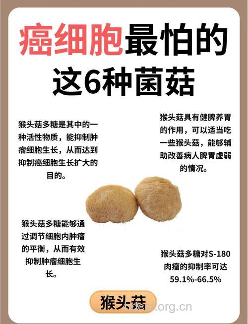 抗癌效果最好的6类菌菇
