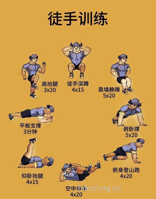 夏季有哪些徒手健身方法