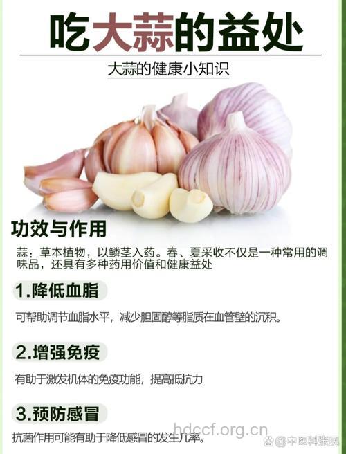 蒜头防癌 每天吃多少才合适？