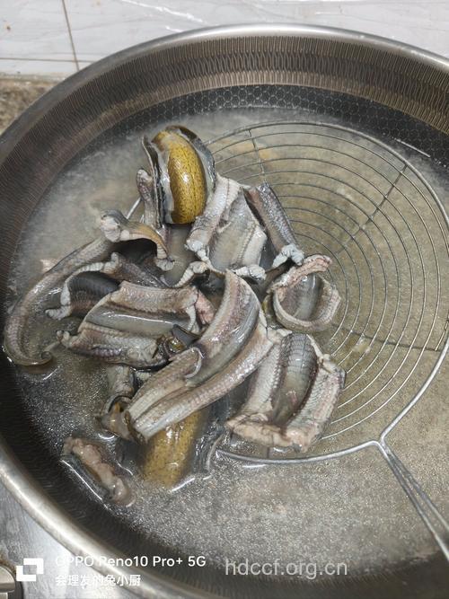 抗癌食谱:大蒜田七炖鳝鱼