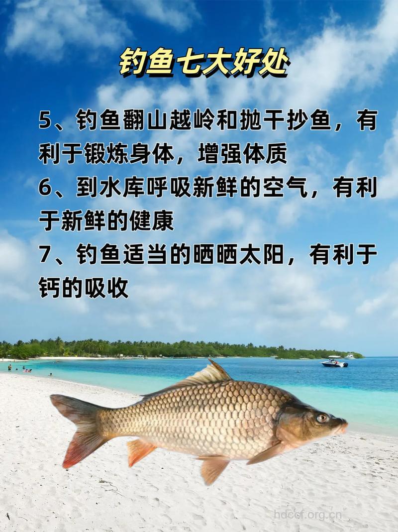周末钓鱼有什么好处