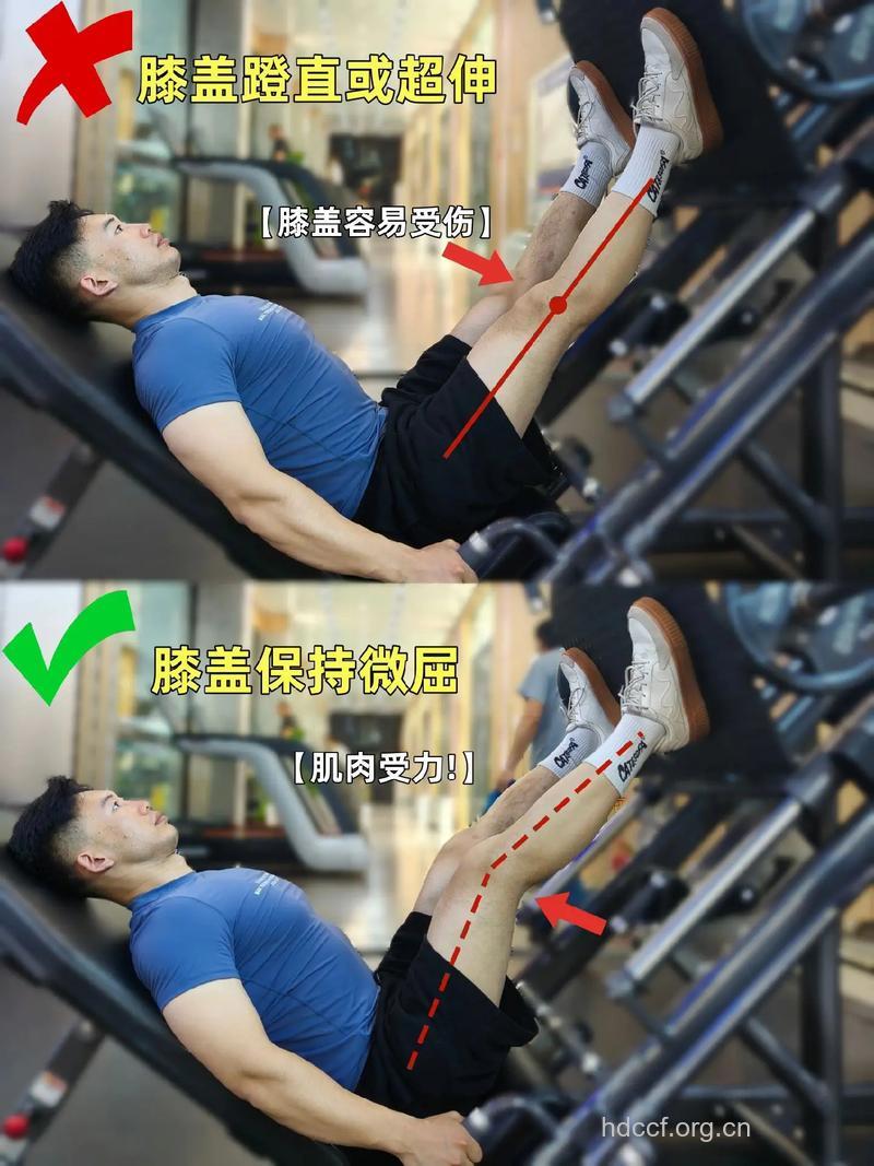 坐飞机时的健身运动