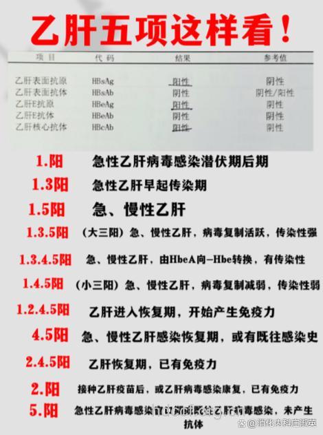 乙肝小三阳传播的高峰期