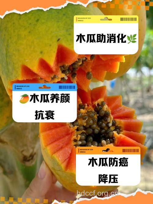 万寿瓜木瓜也能防癌抗癌