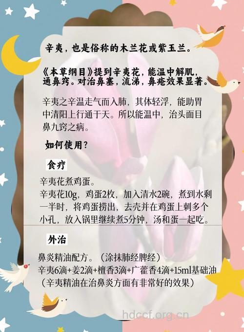 春季过敏性鼻炎的治疗偏方