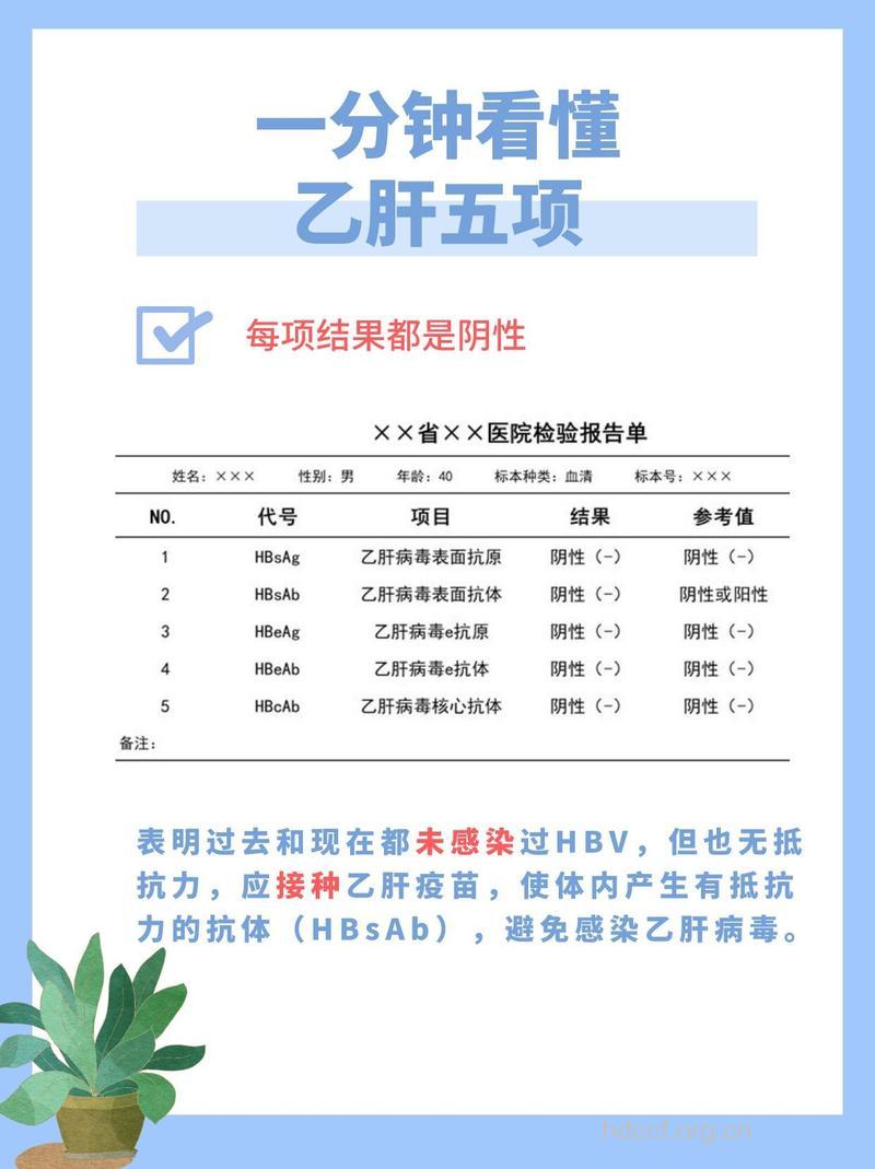乙肝五项全阴性是什么意思