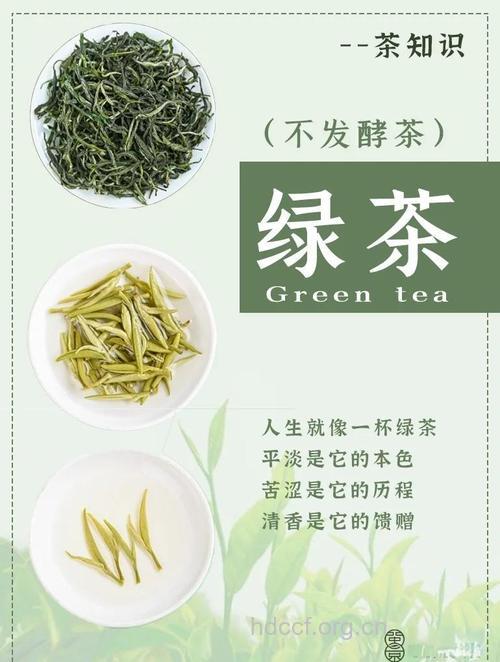 每天喝绿茶能防癌抗癌