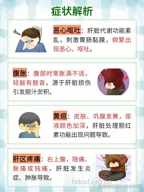 肝功能受损 病源从哪来?