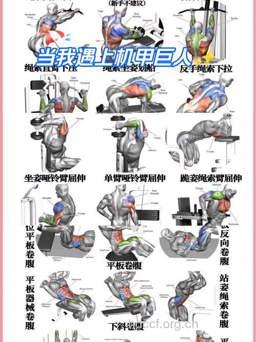 办公白领 最适宜的七大健身法