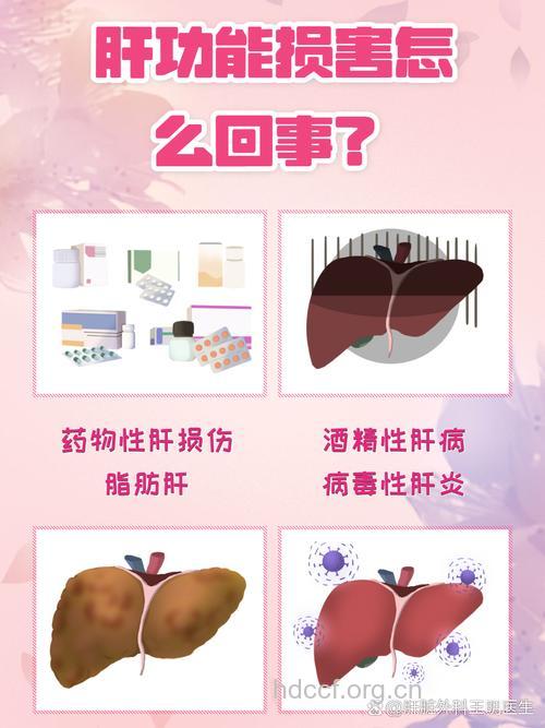 肝功能受损源头从哪来?