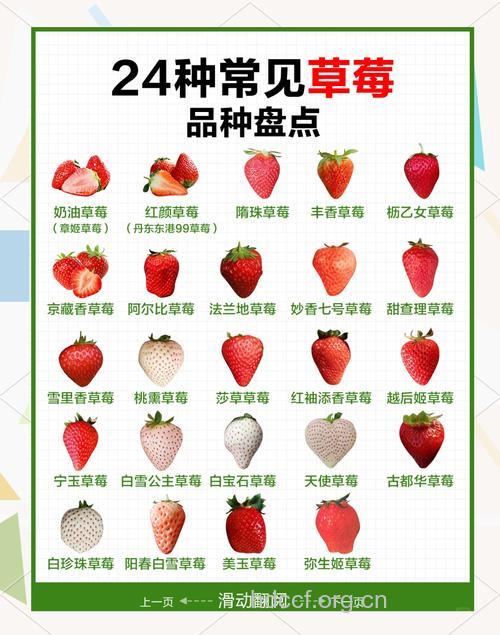抗癌水果草莓的功效与作用