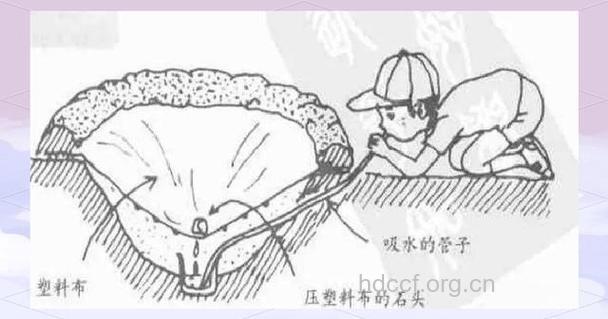 关于野外生存的饮水秘诀