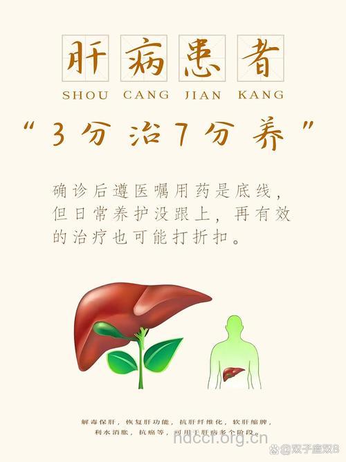 乙肝患者如何三分治七分养