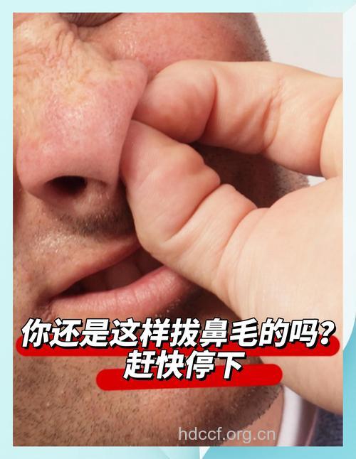 经常拔鼻毛会引起鼻炎