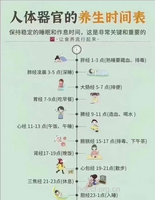 乙肝患者熬夜的注意事项有哪些