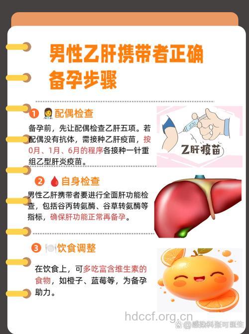 乙肝相关知识的热门问答