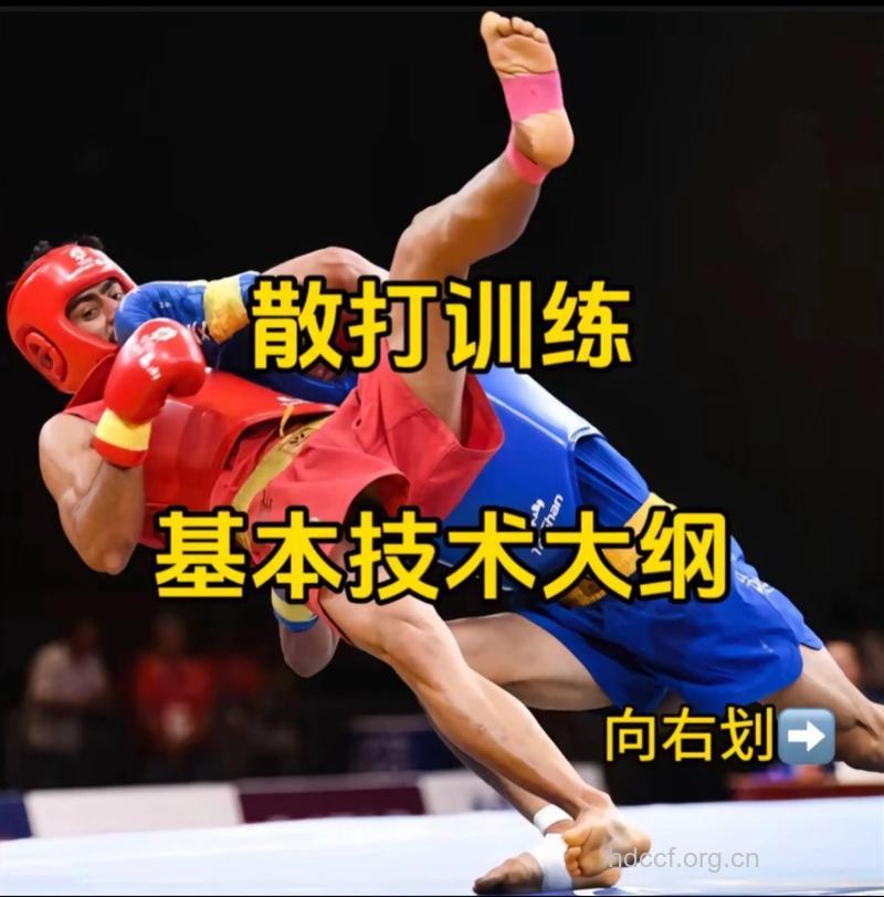 学校盛行的散打健身法