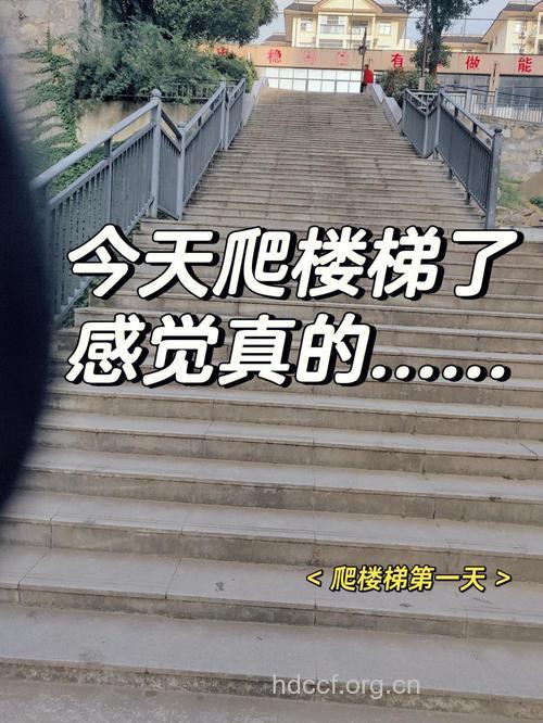 想不到爬梯也会有惊喜!