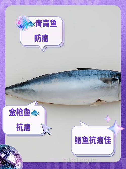 来自海洋中的抗癌食物