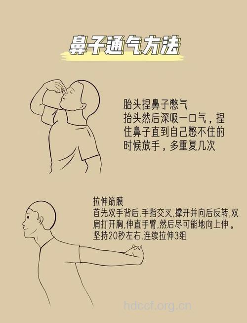 简单窍门增加鼻子抵抗力