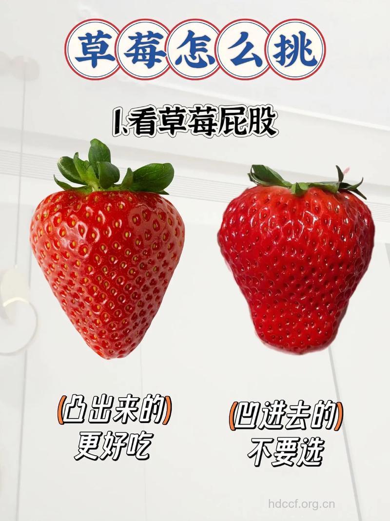 如何挑选好的草莓呢