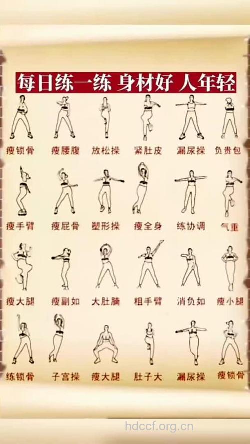 有氧健身操知识 适合你的10种健身操